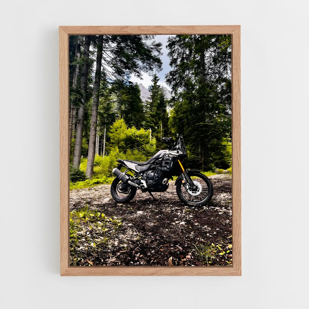 Poster Charme du Désert – affiche Yamaha (vue 4)